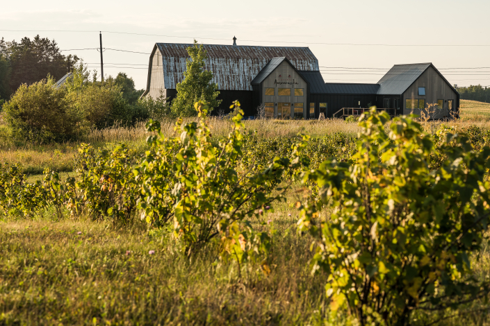 Séance reportage corporatif - Vignoble Amouraska